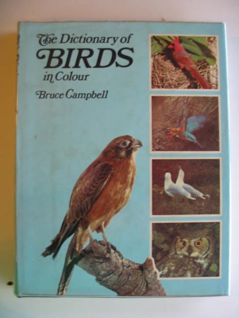 Atlas of Rare Birds [Book]