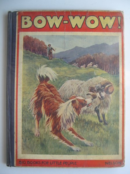 Photo of BOW-WOW- Stock Number: 672963