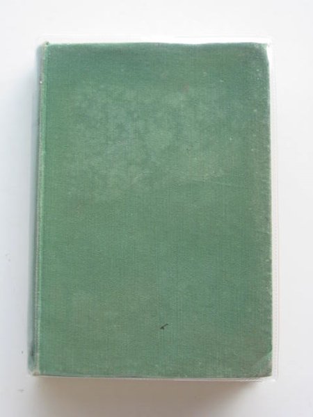 Photo of RAVEN AMONG THE ROOKS- Stock Number: 687564