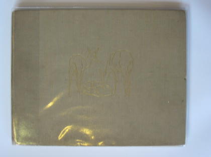 Photo of DARK WORLD OF ANIMALS- Stock Number: 712146