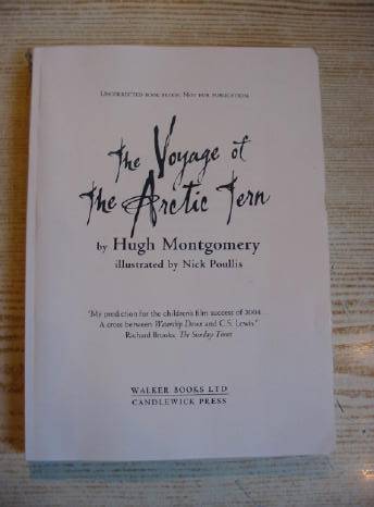 Photo of THE VOYAGE OF THE ARCTIC TERN- Stock Number: 732681