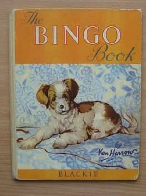 Photo of THE BINGO BOOK- Stock Number: 805190