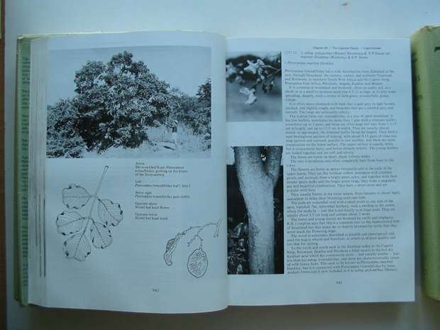 Photo of TREES OF SOUTHERN AFRICA written by Palmer, Eve
Pitman, Norah published by A.A. Balkema (STOCK CODE: 806267)  for sale by Stella & Rose's Books