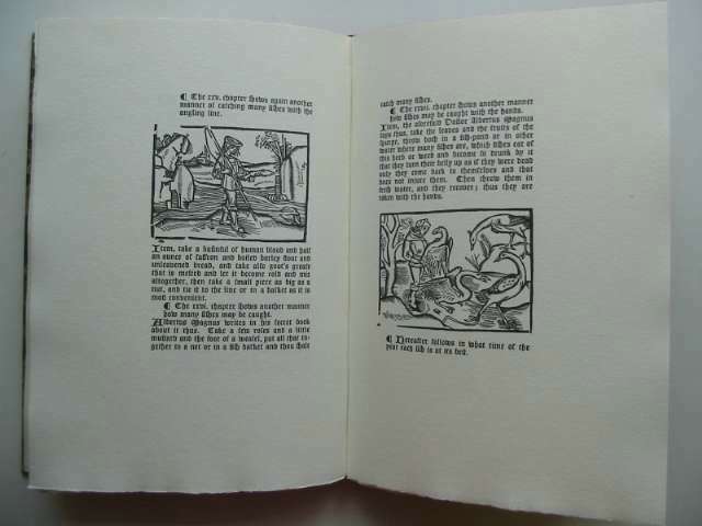 Photo of DIT BOECXKEN written by Van Der Goes, Matthias published by Honey Dun Press (STOCK CODE: 814701)  for sale by Stella & Rose's Books
