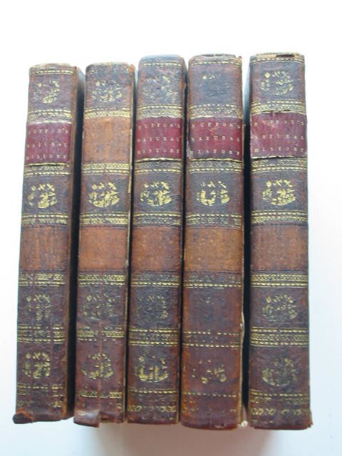 Photo of BUFFON'S NATURAL HISTORY OF BIRDS, FISH, INSECTS, AND REPTILES (5 VOLS)- Stock Number: 819573