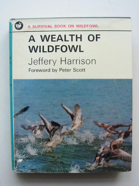 Photo of A WEALTH OF WILDFOWL- Stock Number: 823907