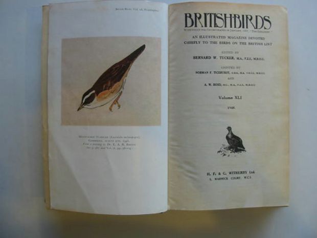Photo of BRITISH BIRDS VOL. XLI written by Tucker, Bernard W. published by H.F. &amp; G. Witherby Ltd. (STOCK CODE: 875005)  for sale by Stella & Rose's Books