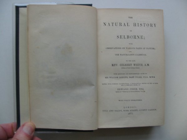 Photo of THE NATURAL HISTORY OF SELBORNE written by White, Gilbert Jardine, William Jesse, Edward published by Bell and Daldy (STOCK CODE: 990467)  for sale by Stella & Rose's Books